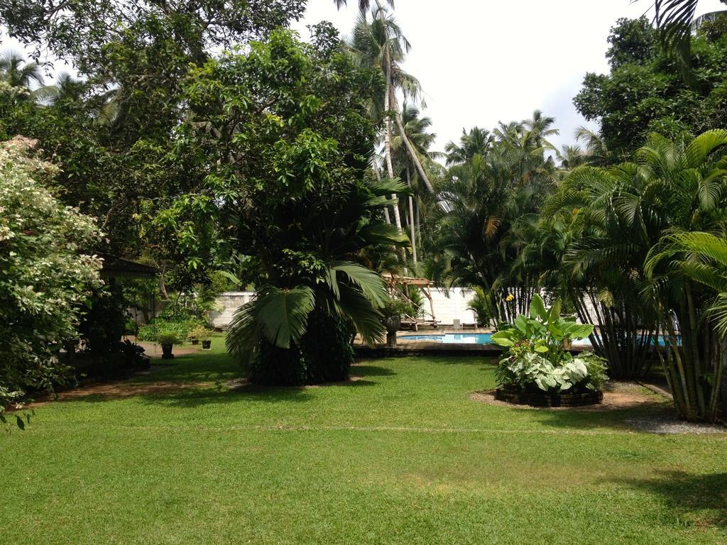 Hotel Fire Dragon Hideaway Negombo Exterior foto