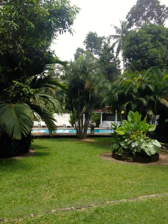 Hotel Fire Dragon Hideaway Negombo Exterior foto