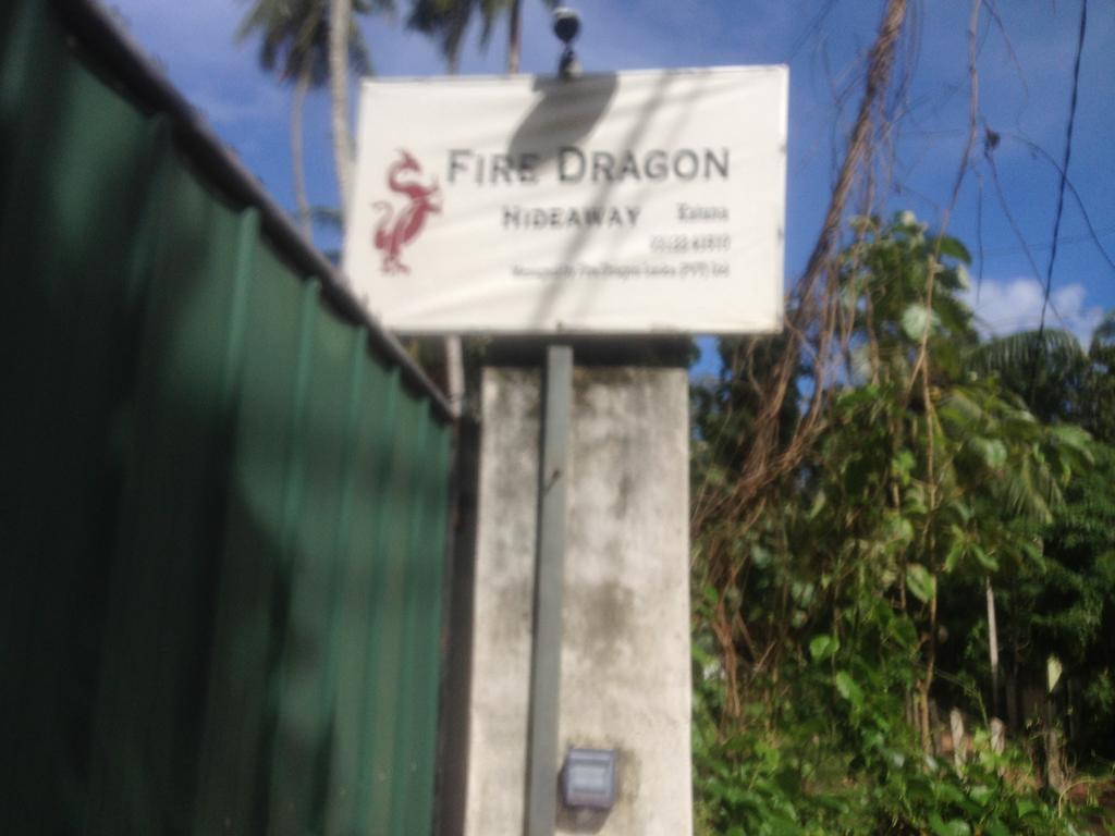 Hotel Fire Dragon Hideaway Negombo Exterior foto