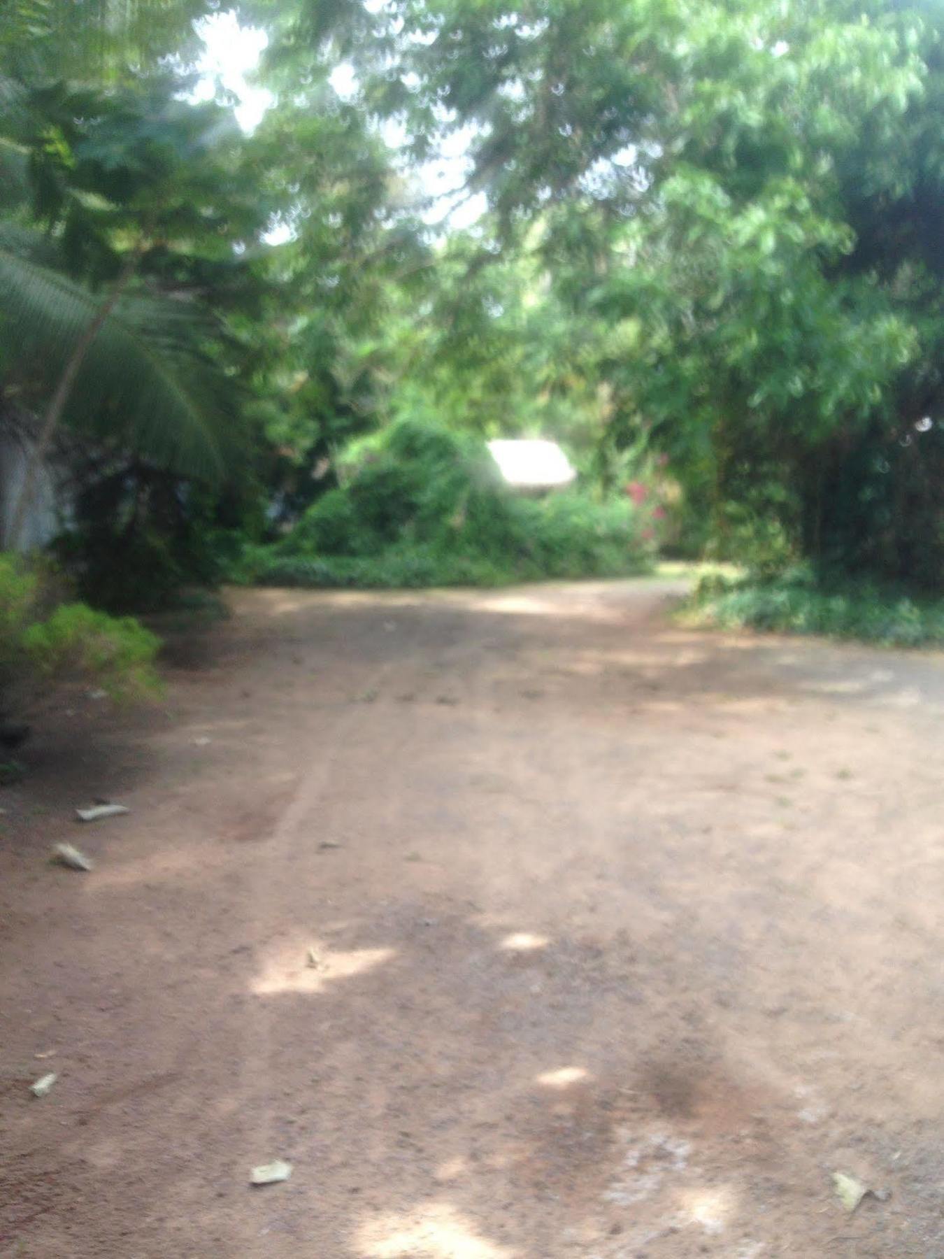 Hotel Fire Dragon Hideaway Negombo Exterior foto