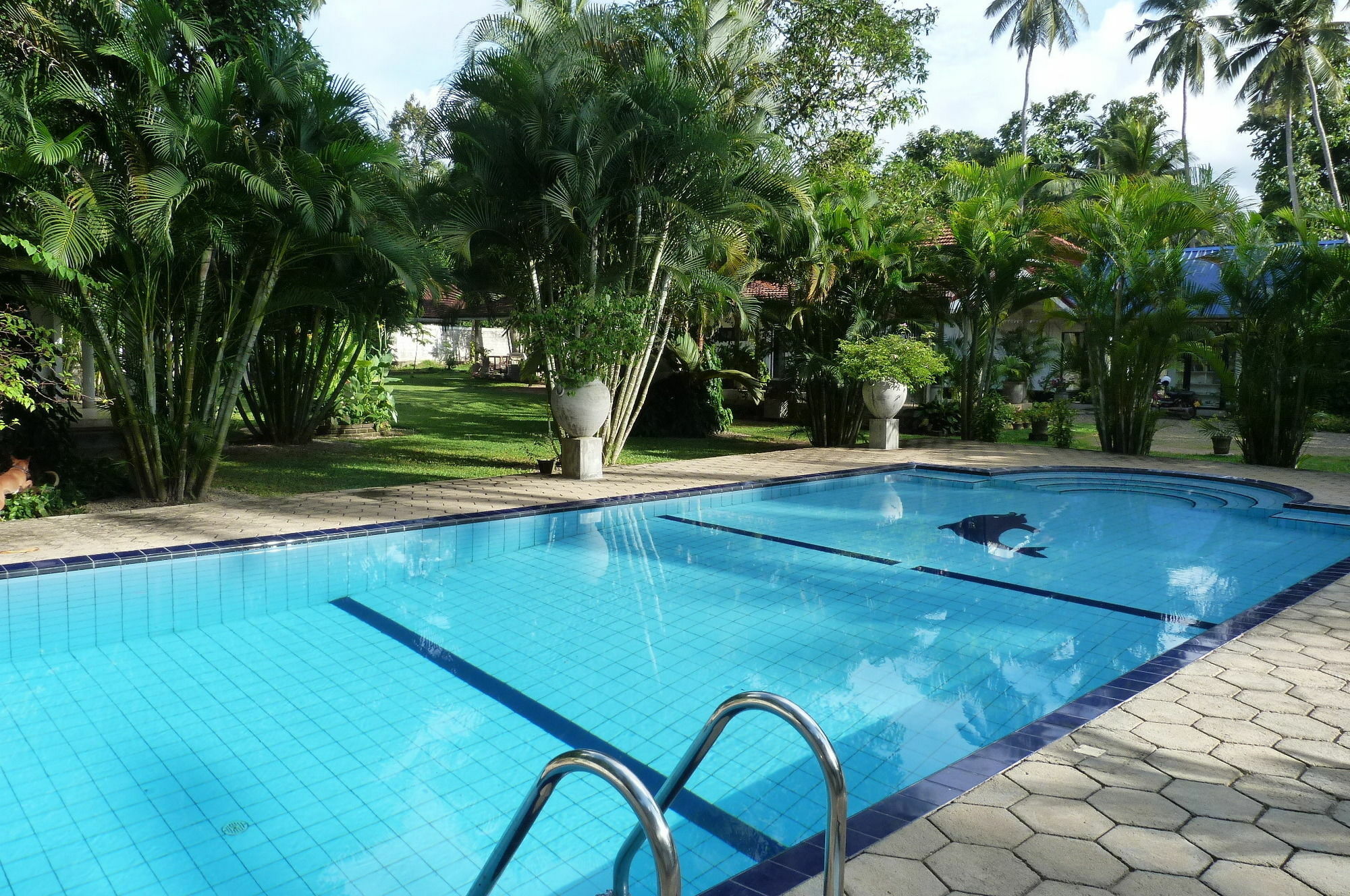 Hotel Fire Dragon Hideaway Negombo Exterior foto